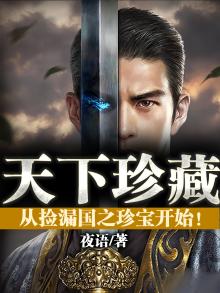 天下珍藏 小说