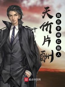 天价片酬,我反手捧红路人下载