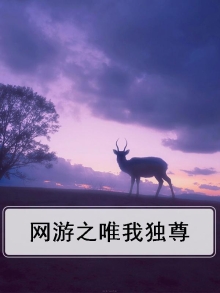 网游之我不配