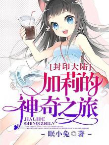 封印大陆,加莉的神奇之旅