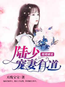 暖婚蜜爱:陆少宠妻有道