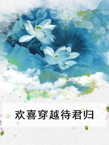 欢喜穿越小说
