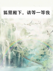 狐狸和我