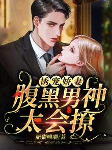 诱爱,腹黑老公宠妻无度