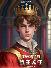 我在法兰西当王太子txt