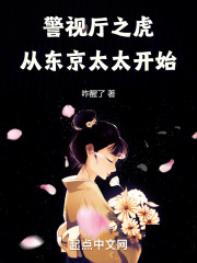 警视厅之虎,从东京太太开始