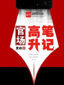 官路高升笔记小说全文免费阅读
