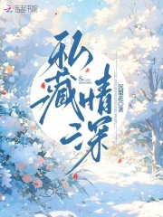 私藏情深小说免费阅读全文