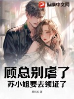 顾小姐别来无恙顾念的小说