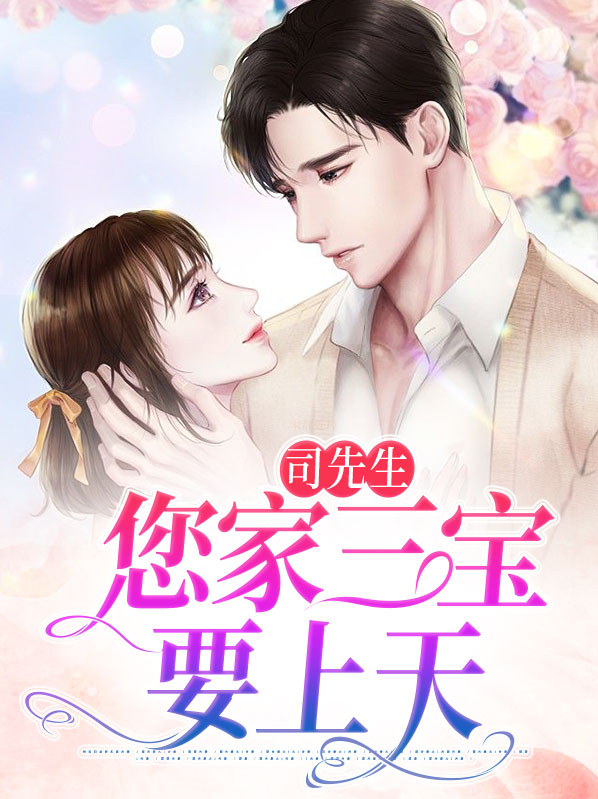小说司先生