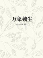 万象独生小说
