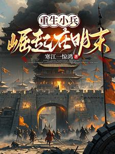 叫你来平定天下,你却征服全世界小说
