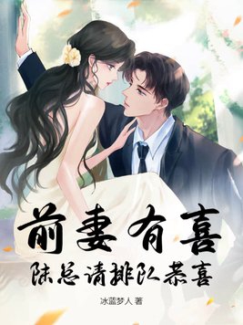 前妻有喜,总裁请淡定!