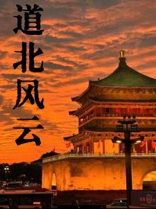 道北风云全文免费正版小说