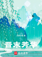 晋末芳华txt