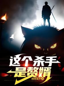 这个杀手是赘婿免费阅读小说