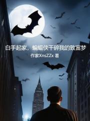 白手起家,蝙蝠侠干碎我的致富梦免费阅读