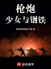 枪炮,少女与钢铁txt