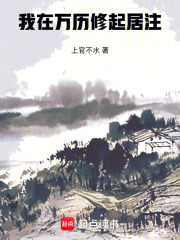 我在万历修起居注笔趣阁无错