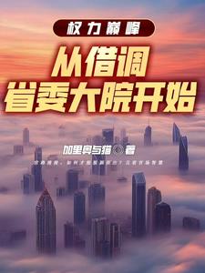 权力巅峰:从借调省委大院开始 目录共280章