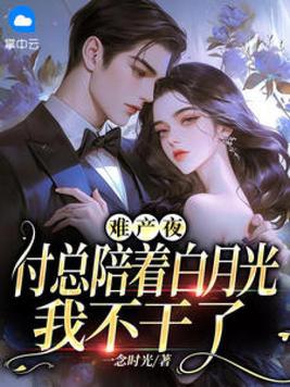 难产夜,付总陪着白月光,我不干了小说免费阅读