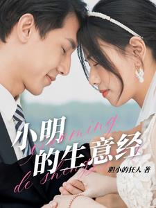 小明的生意经小说