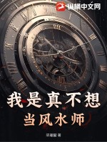 我真的是风水师小说