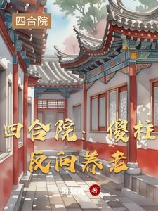 四合院之南易