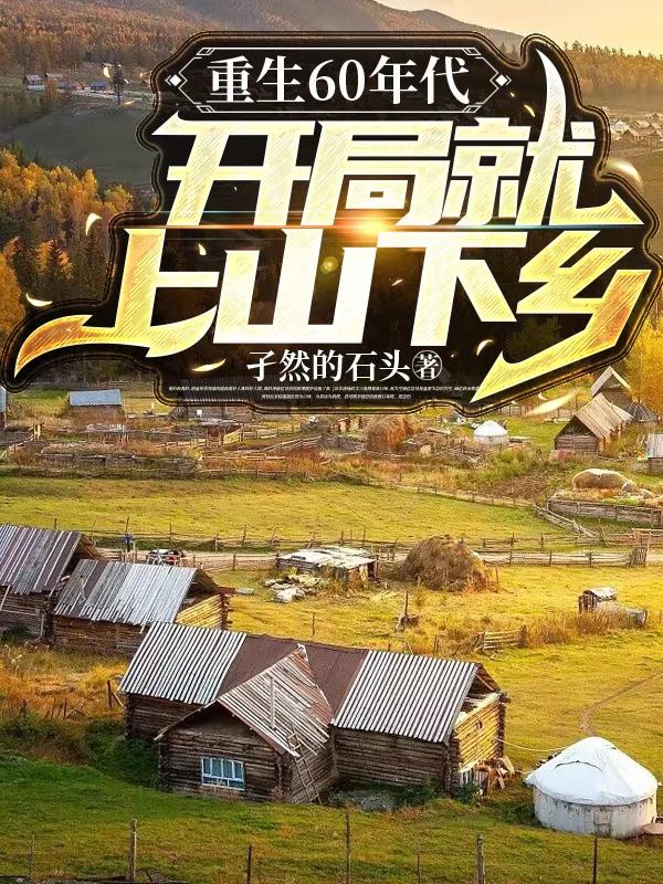 重生60年代,开局就上山下乡叶昊