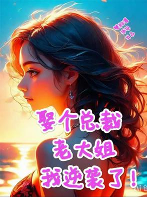 小说娶个老婆是大佬