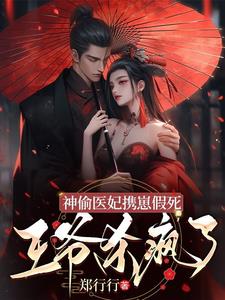 神偷医妃携崽假死,王爷杀疯了