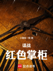 谍战红色掌柜篱笆好文学