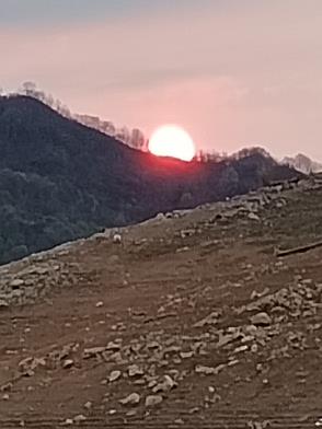 村之恋叶思邑