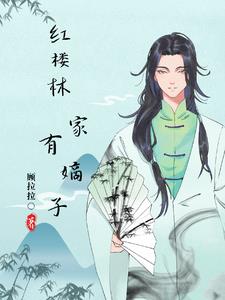 红楼之林家有嫡子下载TXT