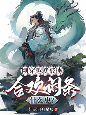 刚穿越就被掳,合欢词条什么鬼?txt