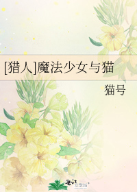 [猎人]魔法少女与猫
