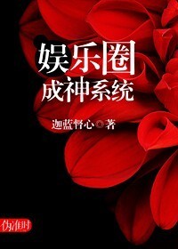 娱乐圈成神系统小说