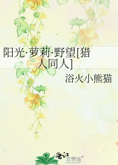 猎人阳光野望西索番外