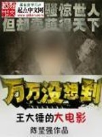 王大锤九王爷小说免费阅读