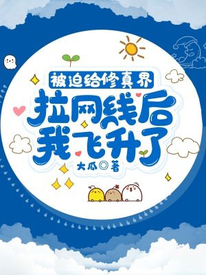 被迫给修真界拉网线后,我飞升了