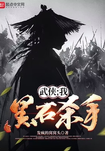 武侠:我,黑石杀手