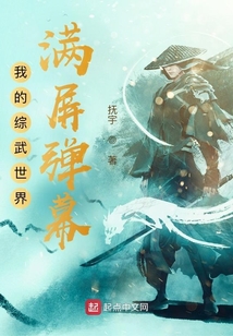 我的综武世界满屏弹幕