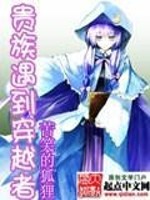 穿越贵族六多少钱