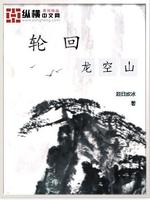 轮回之龙的传人