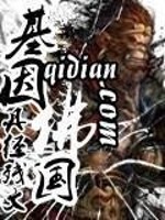 基因佛国 小说