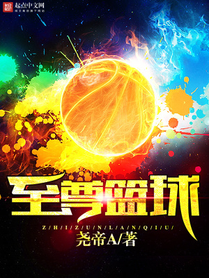 至尊篮神 小说