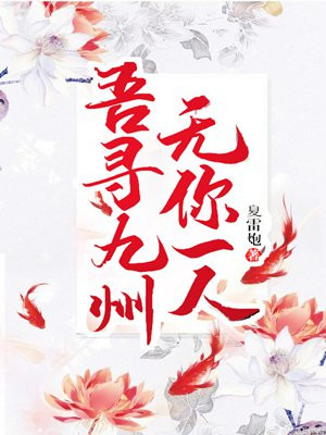 吾寻九州,无你一人