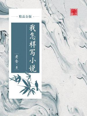 我怎样写小说（精品公版）