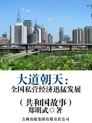 大道朝天:全国私营经济迅猛发展
