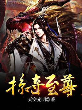 掠夺至尊 小说